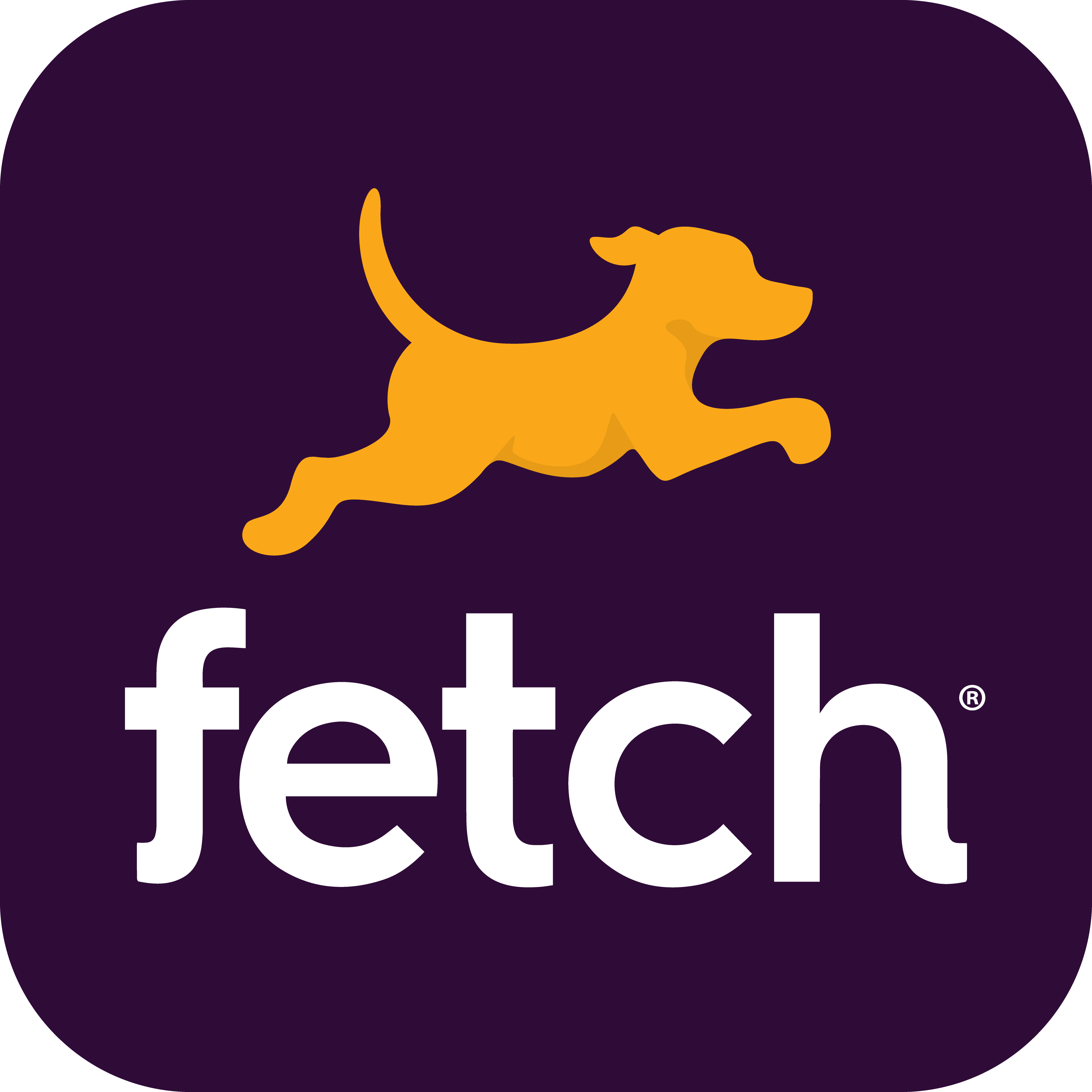 Fetch logo